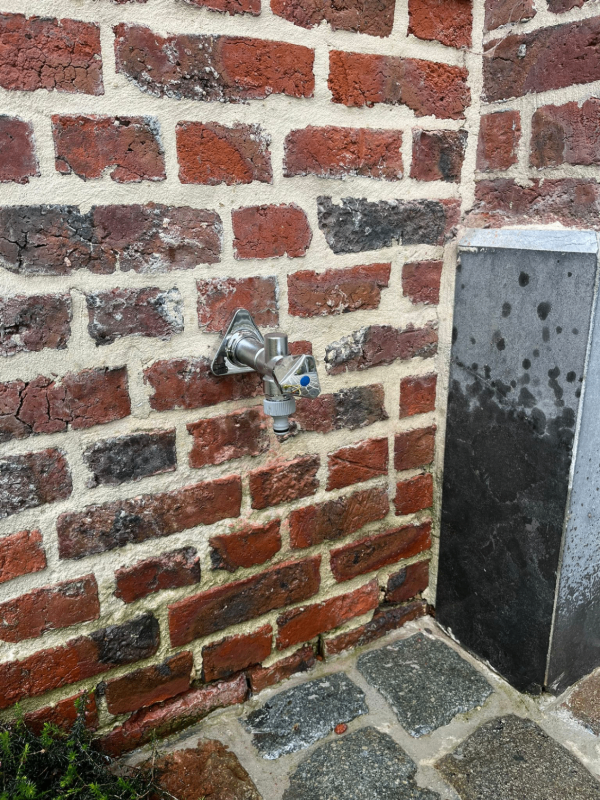 Buitenkraan regenwater